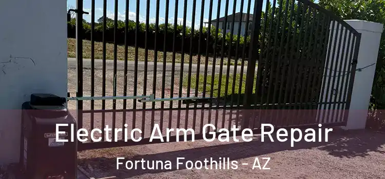 Electric Arm Gate Repair Fortuna Foothills - AZ