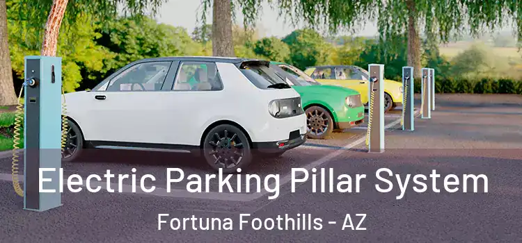 Electric Parking Pillar System Fortuna Foothills - AZ