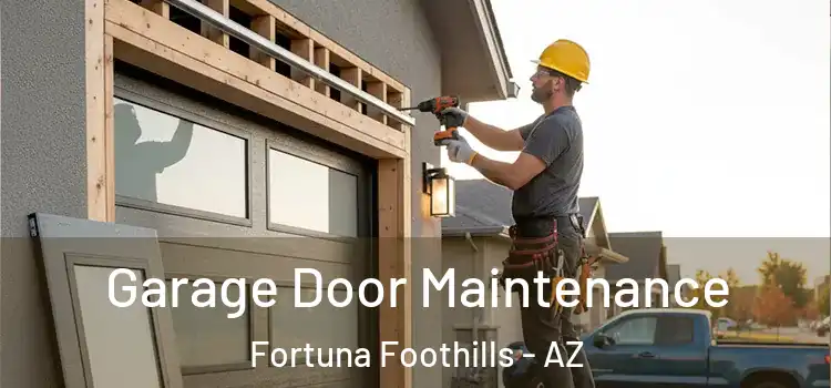 Garage Door Maintenance Fortuna Foothills - AZ