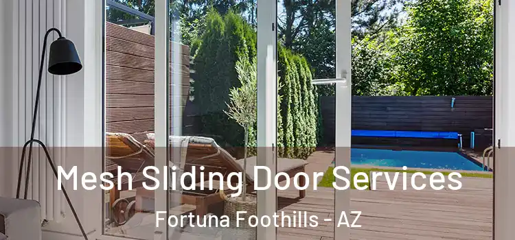 Mesh Sliding Door Services Fortuna Foothills - AZ